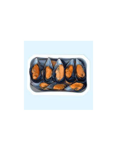 MEJILLONES AL VAPOR 18/22 PZ TARRINA 500gr