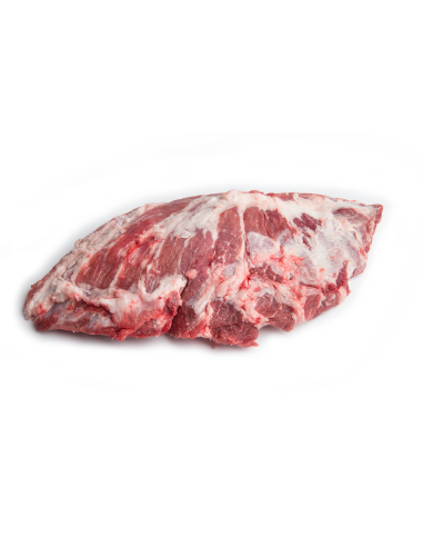 PRESA IBÉRICA AL VACÍO