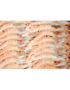 GAMBAS BLANCAS M