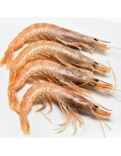 GAMBAS BLANCAS 50 PZ GG 1 KL