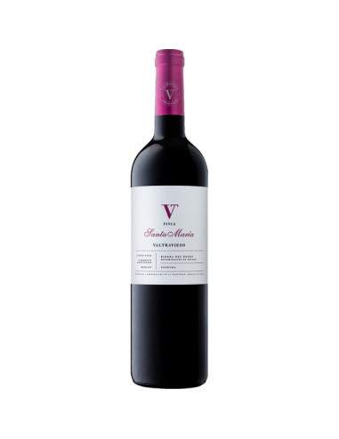 VALTRAVIESO FINCA SANTA MARÍA 2021
