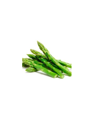 ESPÁRRAGOS VERDES CONGELADOS 1 KL
