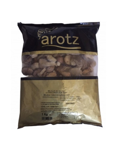 MEZCLA DE SETAS BOLSA DE 1 KL