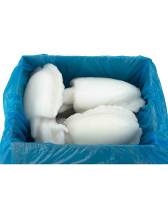 CHOCO LIMPIO MARRUECOS 600/800 CAJA DE 5 KL