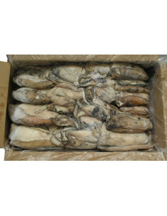 CHOCO SUCIO MONGO Nº6 PZ 800/1200 gr CAJA 20 KL