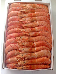 GAMBÓN CRUDO DE ABORDO  20/30 PZ CAJA DE 2 KL