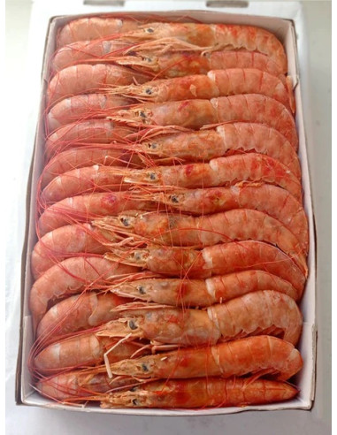 GAMBÓN CRUDO DE ABORDO  20/30 PZ CAJA DE 2 KL
