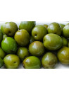 ACEITUNAS